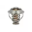 Thermostat, liquide de refroidissement NRF [725209]