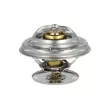 Thermostat, liquide de refroidissement NRF [725215]