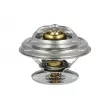 Thermostat, liquide de refroidissement NRF [725217]
