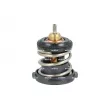 Thermostat, liquide de refroidissement NRF [725225]