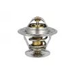 Thermostat, liquide de refroidissement NRF [725228]