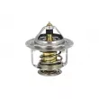 Thermostat, liquide de refroidissement NRF [725251]