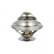 Thermostat, liquide de refroidissement NRF [725255]