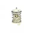 Thermostat, liquide de refroidissement NRF [725271]