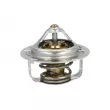 Thermostat, liquide de refroidissement NRF [725273]