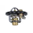 Thermostat, liquide de refroidissement NRF [725285]