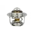 Thermostat, liquide de refroidissement NRF [725305]