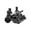 Thermostat d'eau NRF [725310]