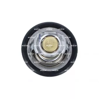 Thermostat d'eau NRF OEM 317532400