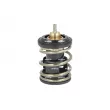 Thermostat, liquide de refroidissement NRF [725444]