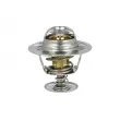 Thermostat, liquide de refroidissement NRF [725454]