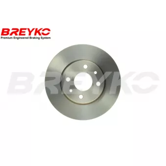 DAVID VASCO T1790 - Jeu de 2 disques de frein avant