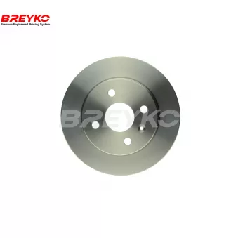 DAVID VASCO T4050 - Jeu de 2 disques de frein avant