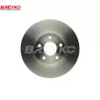 DAVID VASCO T4218 - Jeu de 2 disques de frein avant