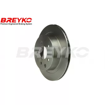 DAVID VASCO T4745 - Jeu de 2 disques de frein avant