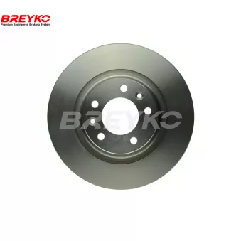 DAVID VASCO T4945 - Jeu de 2 disques de frein avant