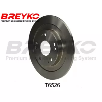 DAVID VASCO T6526 - Jeu de 2 disques de frein avant