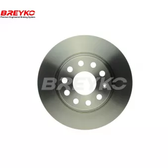 DAVID VASCO T7911 - Jeu de 2 disques de frein avant