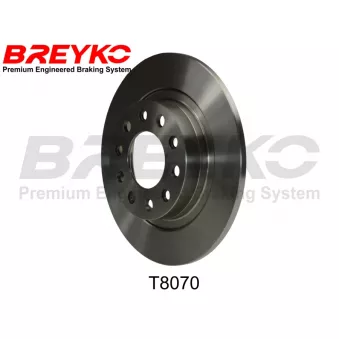 DAVID VASCO T8070 - Jeu de 2 disques de frein avant