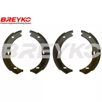 DAVID VASCO W8741 - Jeu de mâchoires de frein