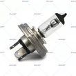 Ampoule, projecteur principal AUGER [91354]