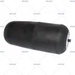Ressort pneumatique, suspension pneumatique AUGER [AU 344838]