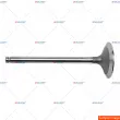Soupape d'admission AUGER [109021]