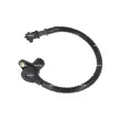 NRF 755196 - Capteur d'angle, vilebrequin