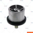 Thermostat, liquide de refroidissement AUGER [121176]