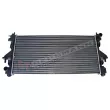 Radiateur, refroidissement du moteur GT-BERGMANN [GT10-083]