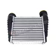 GT-BERGMANN GT12-015 - Intercooler, échangeur
