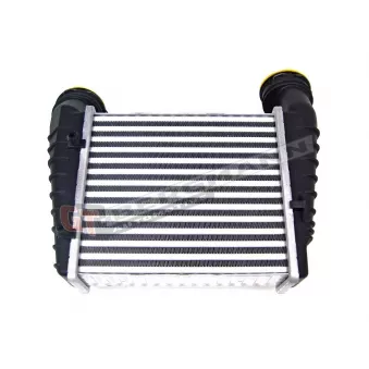 Intercooler, échangeur GT-BERGMANN GT12-015