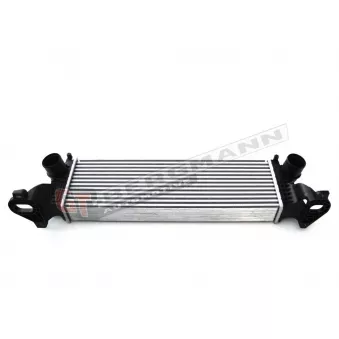 Intercooler, échangeur GT-BERGMANN GT12-017 pour IVECO DAILY 35C15 V. 40C15 V - 146cv