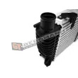 GT-BERGMANN GT12-028 - Intercooler, échangeur
