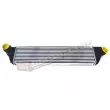 Intercooler, échangeur GT-BERGMANN [GT12-033]