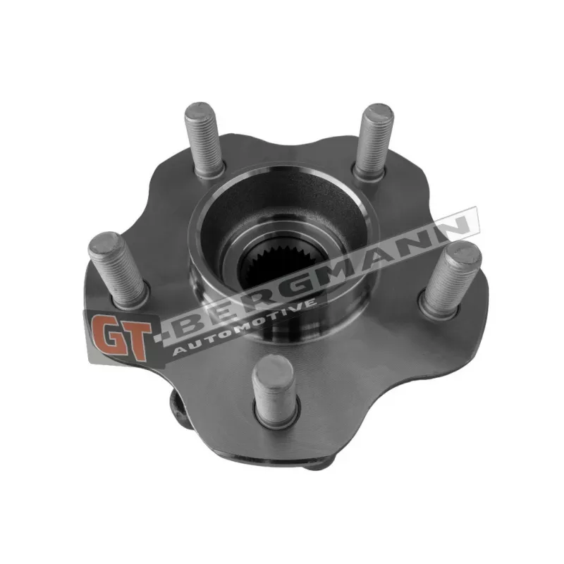 Kit de roulements de roue arrière GT-BERGMANN GT24-115 - Visuel 1