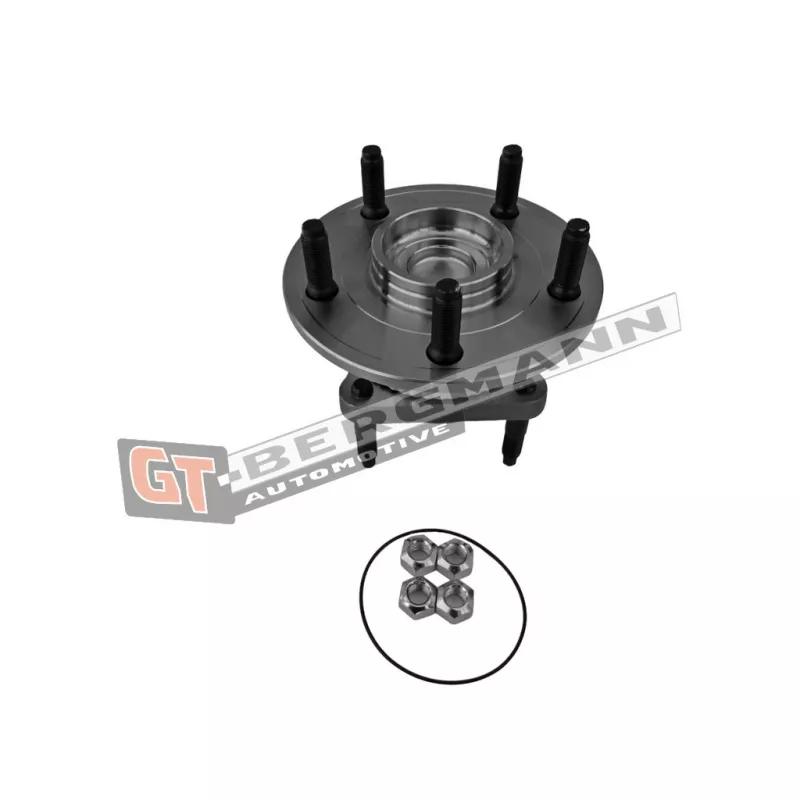 Roulement de roue arrière GT-BERGMANN GT24-138 - Visuel 1