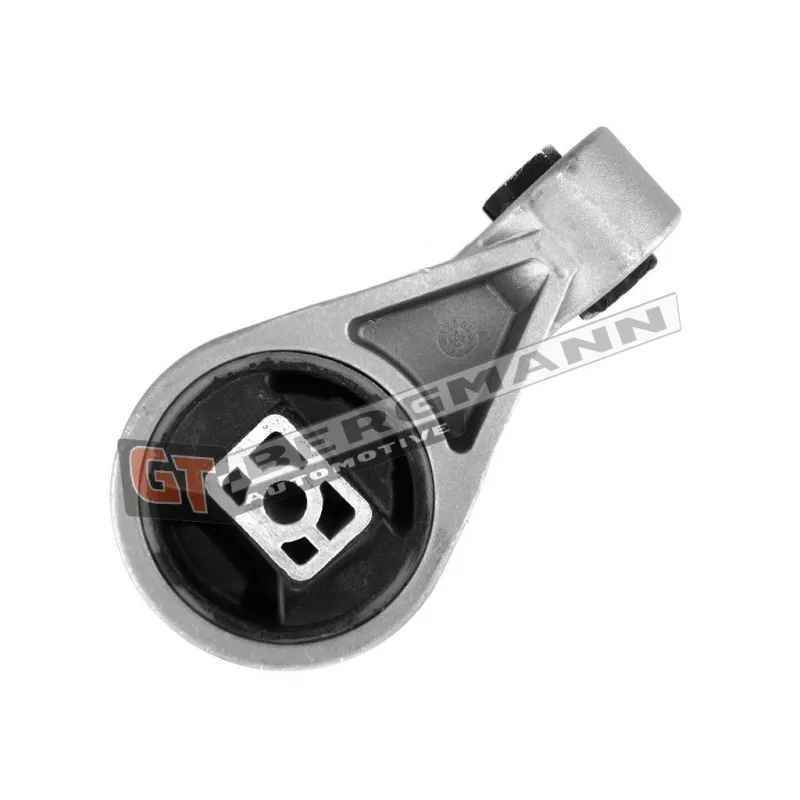 Suspension, boîte de vitesse manuelle GT-BERGMANN GT25-013 - Visuel 1