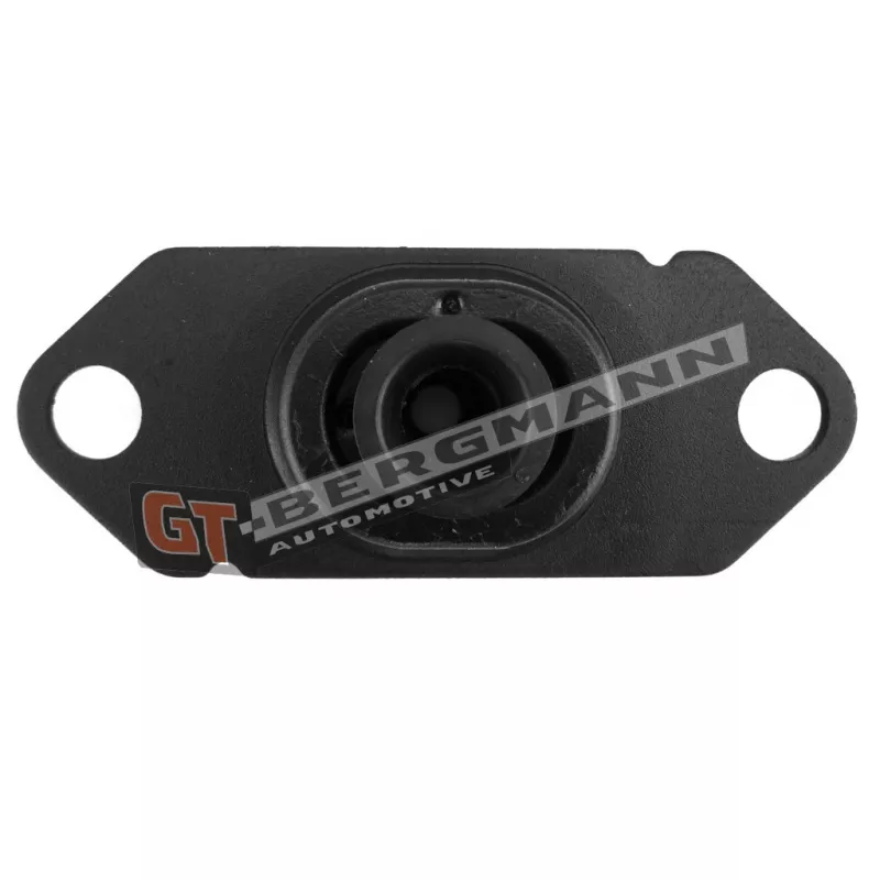 Suspension, boîte de vitesse manuelle GT-BERGMANN GT25-014 - Visuel 1