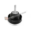 GT-BERGMANN GT25-045 - Support moteur