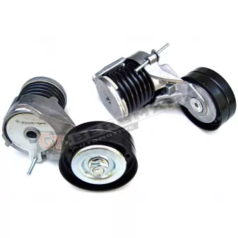 Tendeur de courroie, courroie trapézoïdale à nervures GT-BERGMANN GT51-022 pour VOLKSWAGEN GOLF 1.4 16V - 75cv