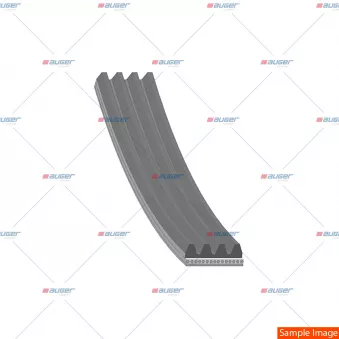 AUGER 168998 - Courroie trapézoïdale à nervures
