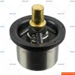 Thermostat, liquide de refroidissement AUGER [169015]