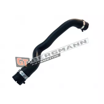 GT-BERGMANN GT52-156 - Durite de radiateur