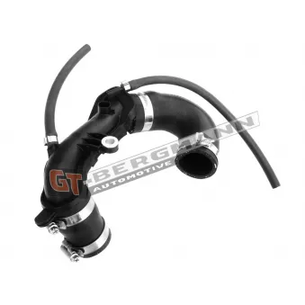 Gaine de suralimentation GT-BERGMANN GT52-250 pour RENAULT KANGOO 1.9 DCI 4x4 - 80cv