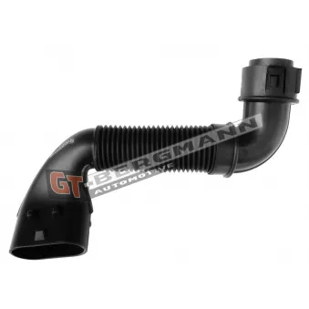Tuyau d'aspiration, alimentation d'air GT-BERGMANN OEM 278608070R