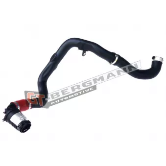 Gaine de suralimentation GT-BERGMANN OEM 8200730589