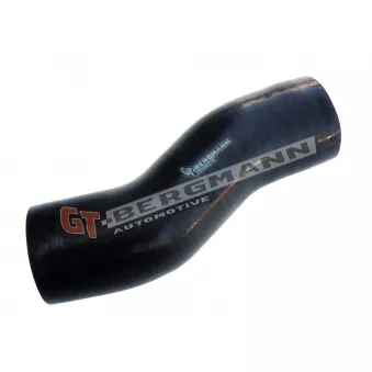 Gaine de suralimentation GT-BERGMANN OEM 1638153280
