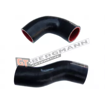 Gaine de suralimentation GT-BERGMANN OEM 1638153280