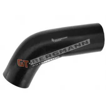 Gaine de suralimentation GT-BERGMANN GT52-289 pour FORD FIESTA 2.2 CDTI 4x4 - 184cv